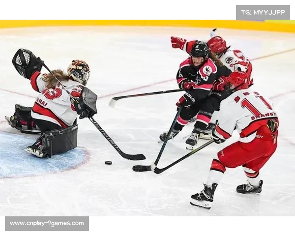 冰球职业联赛齐齐哈尔站,北京对阵四川